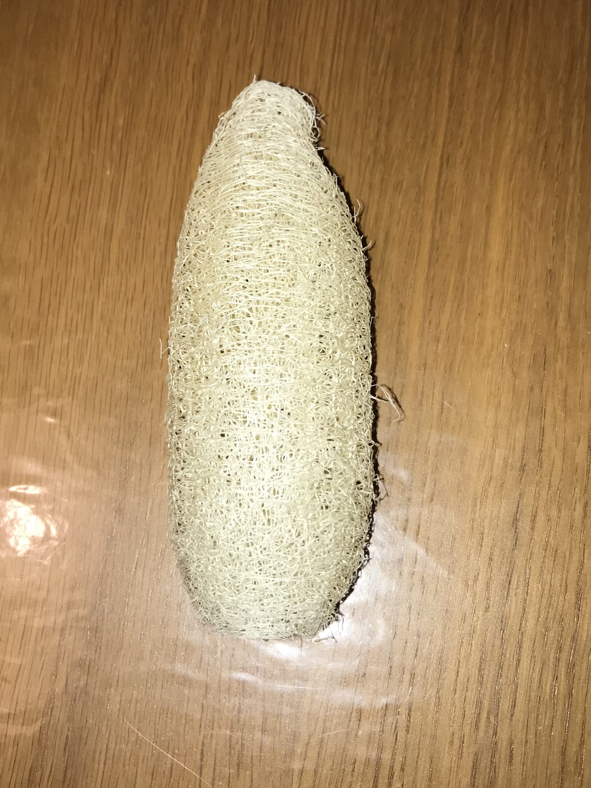 The Dida Luffa Spugna Vegetale Intera 10-12 cm Naturale