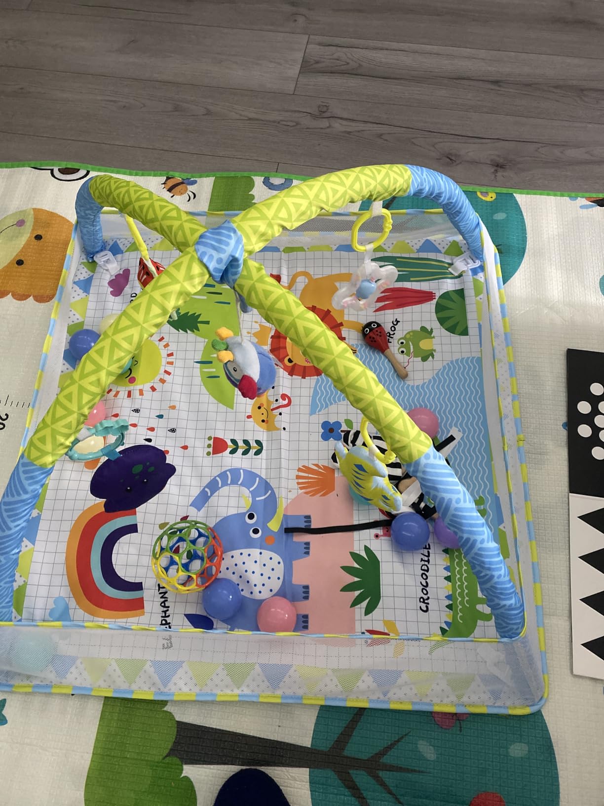Dr.Rapeti Palestrina tappeto gioco 47x40 pollici con arco