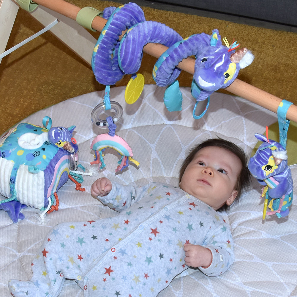 Les Déglingos Kiprokos Spirale Attività Zebra Viola