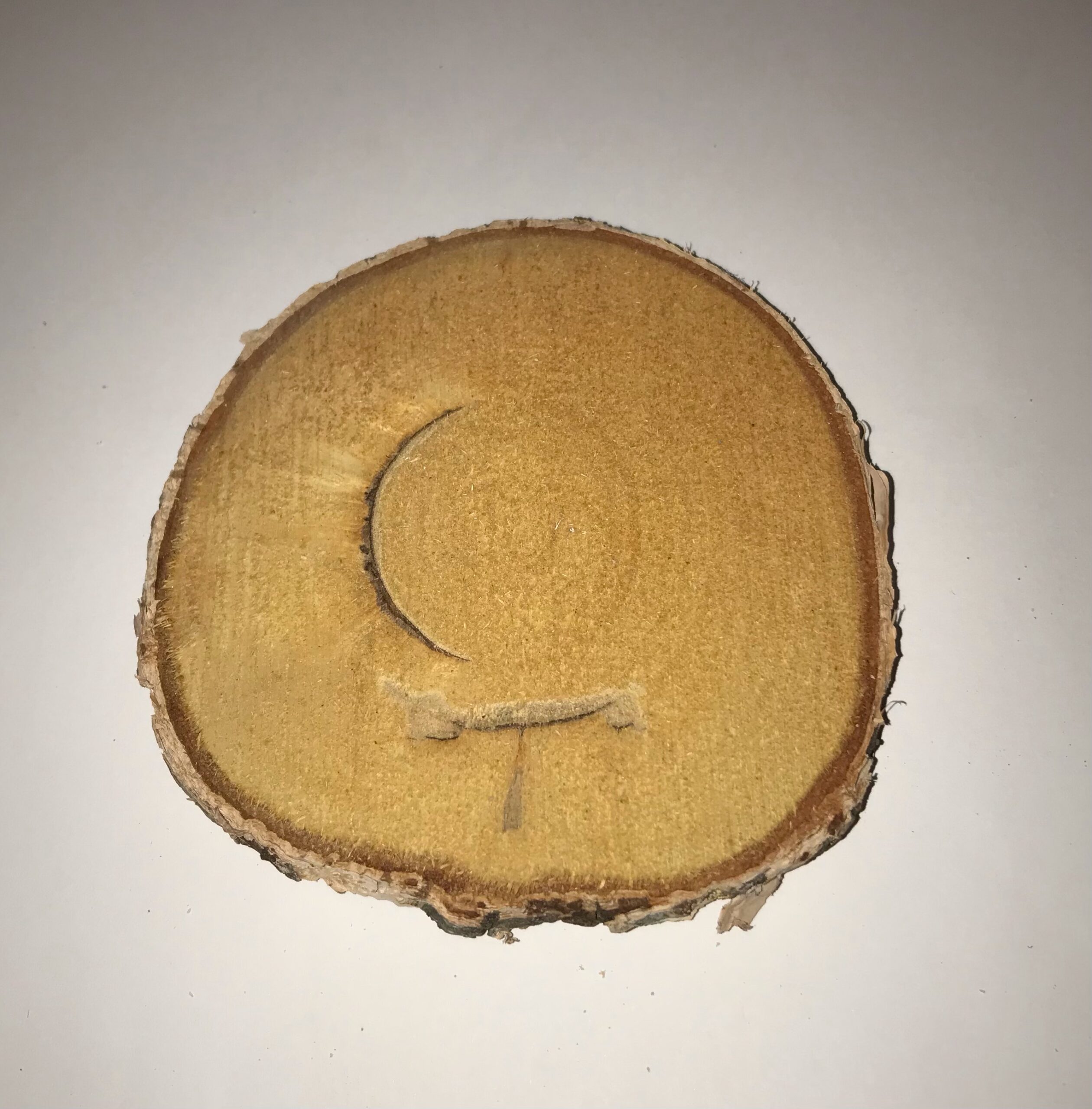 The Dida Tronco Fetta Legno Naturale 7-10 cm Gioco