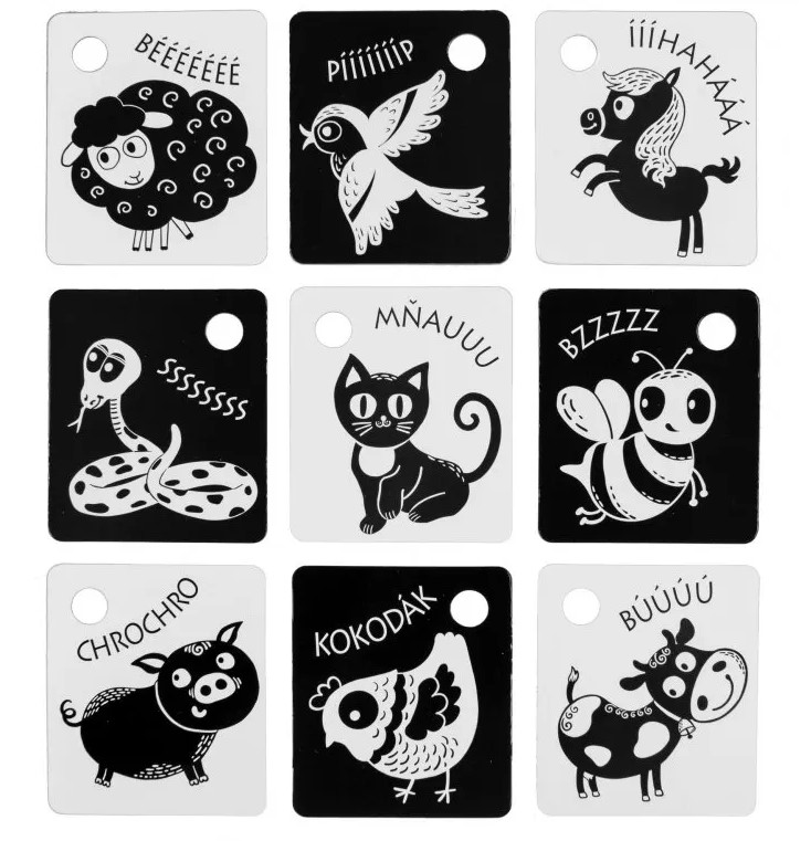 Profibaby Carte contrasto neonato animali