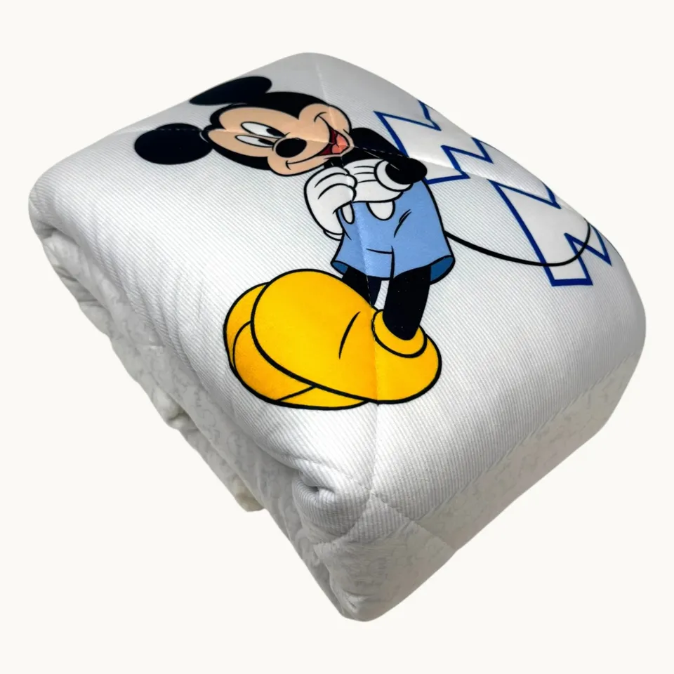 Disney Baby Trapunta Lettino Pelliccetta Morbida Stampa