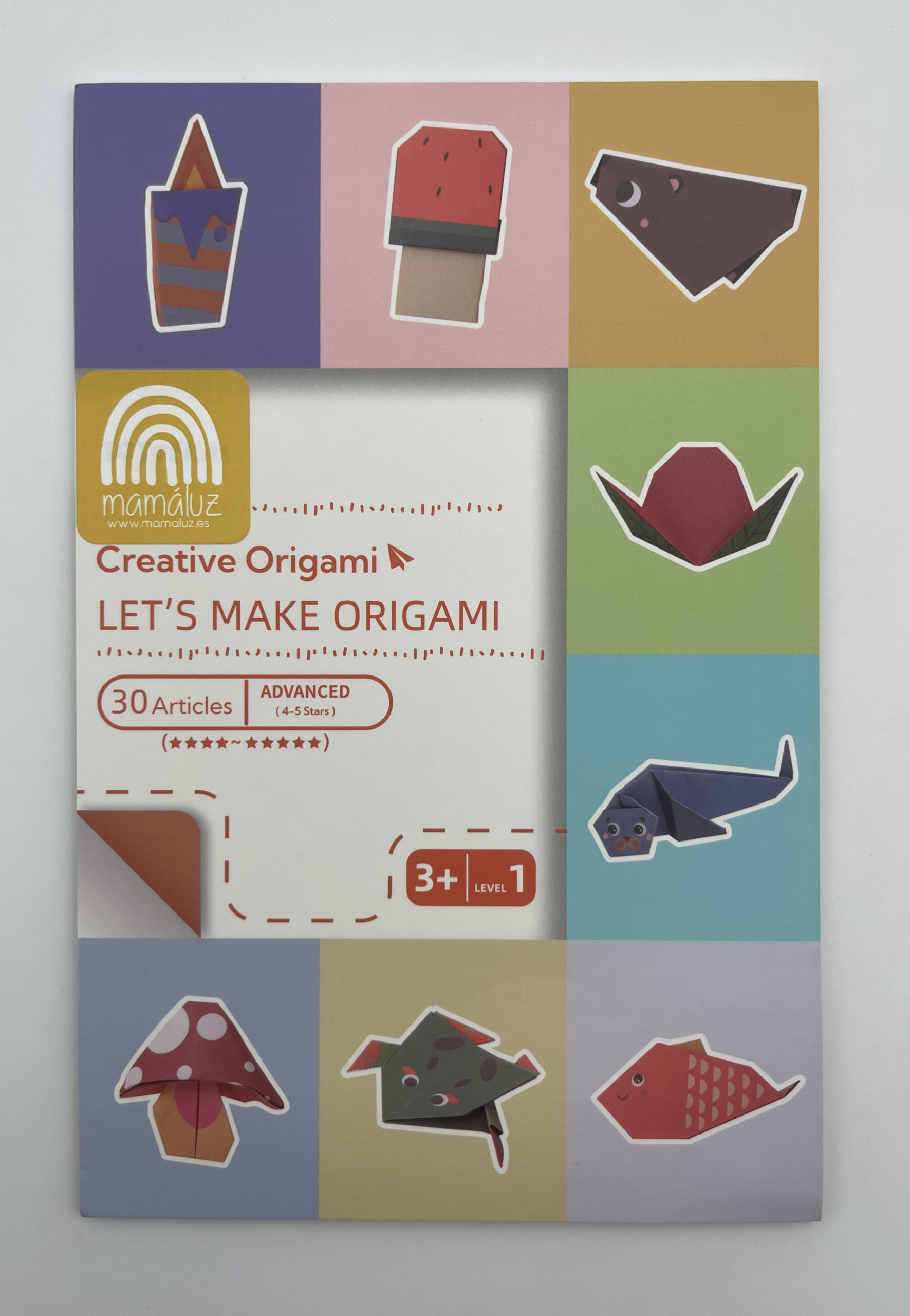 The Dida Origami Avanzato quaderno bambini 30 progetti