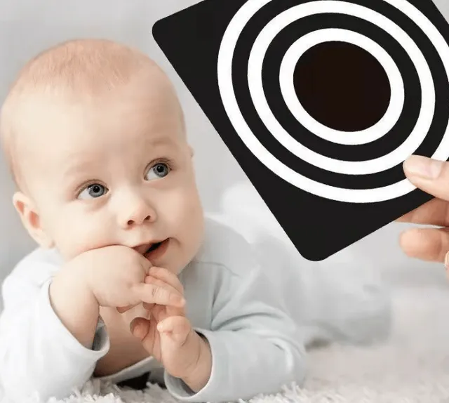 The Dida 0-3 Mesi Carte Stimolazione Visiva Contrasto