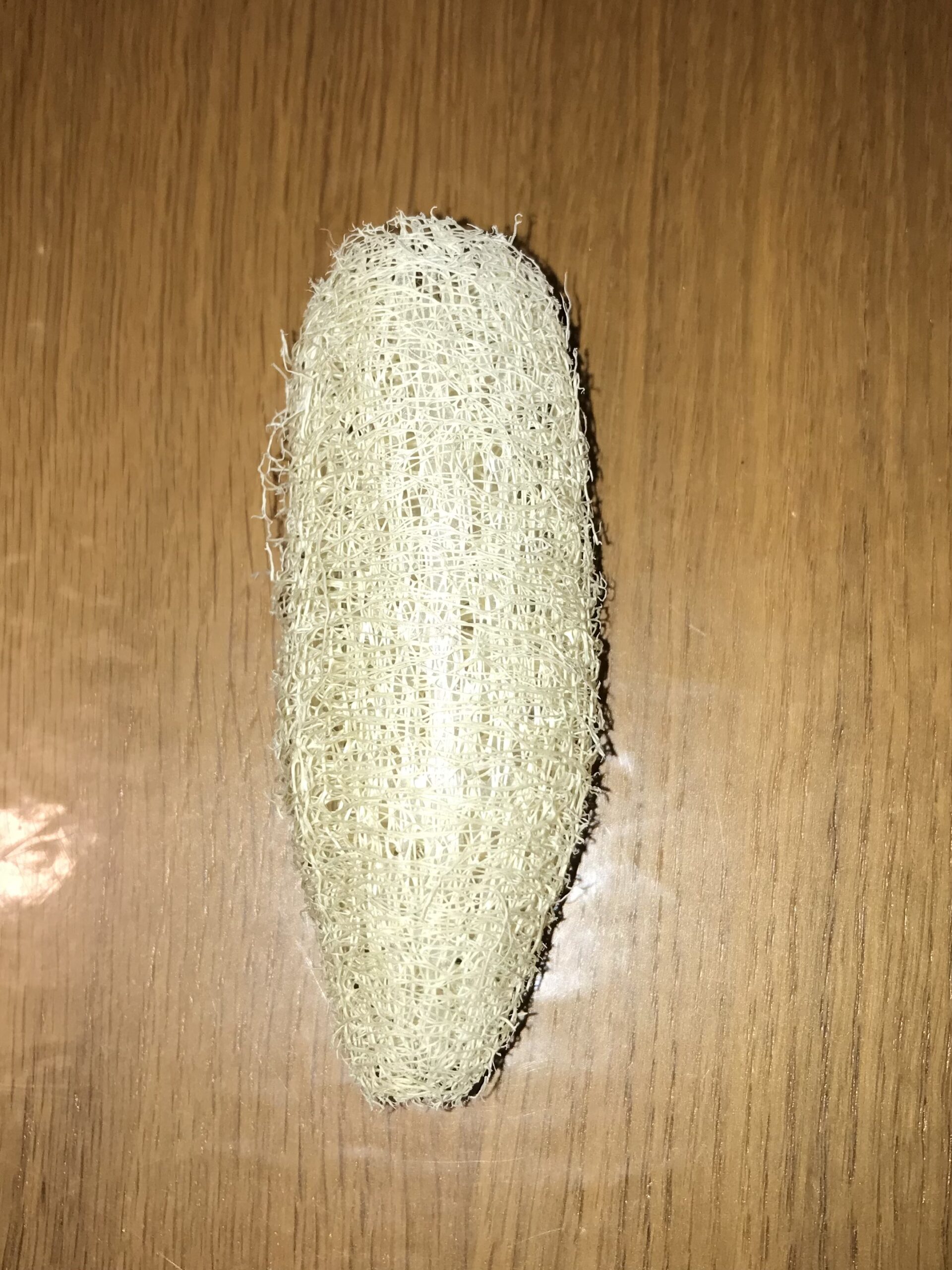 The Dida Luffa Spugna Vegetale Intera 10-12 cm Naturale