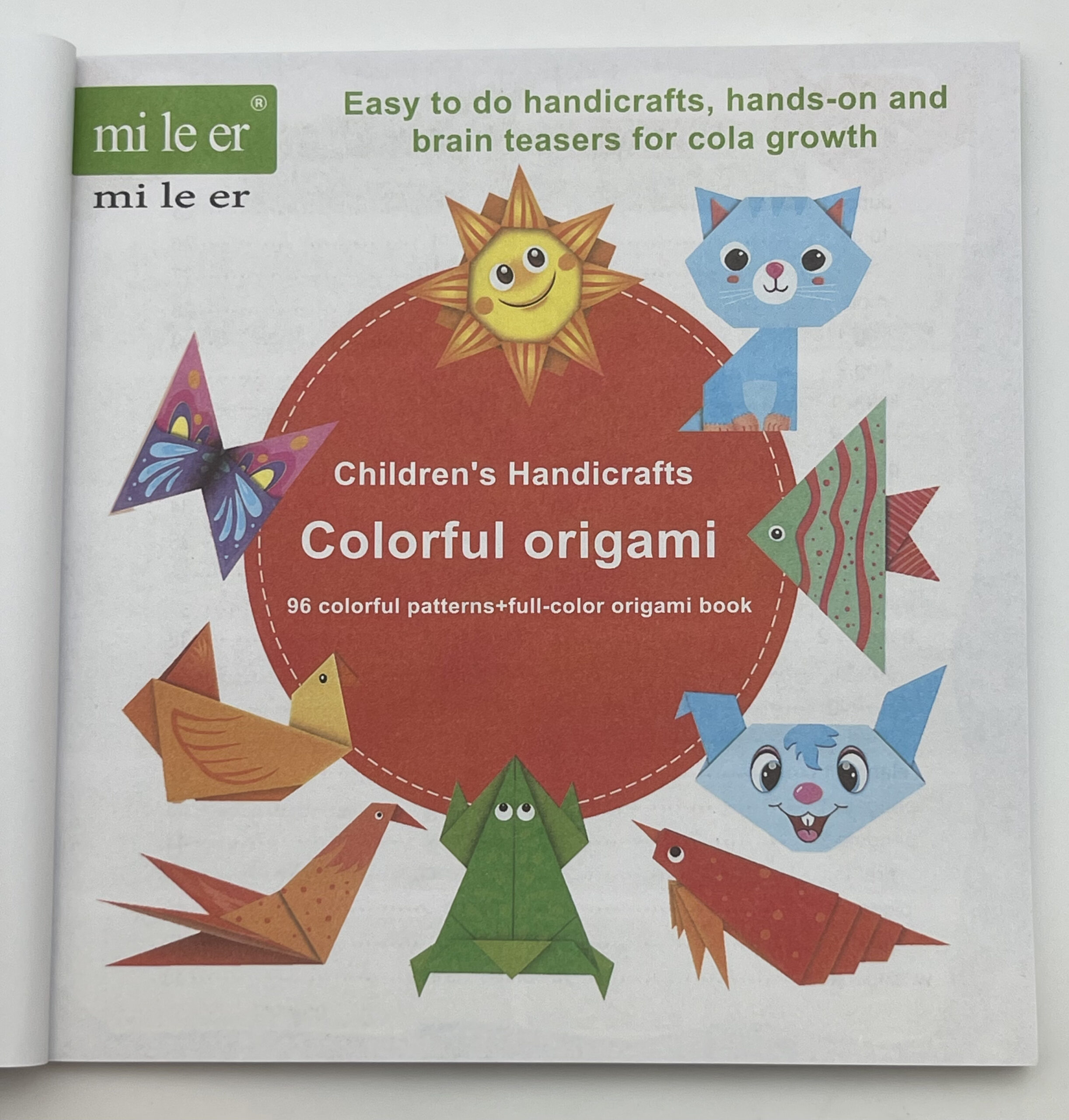 The Dida Quaderno Origami Esperto 48 Fogli Colorati