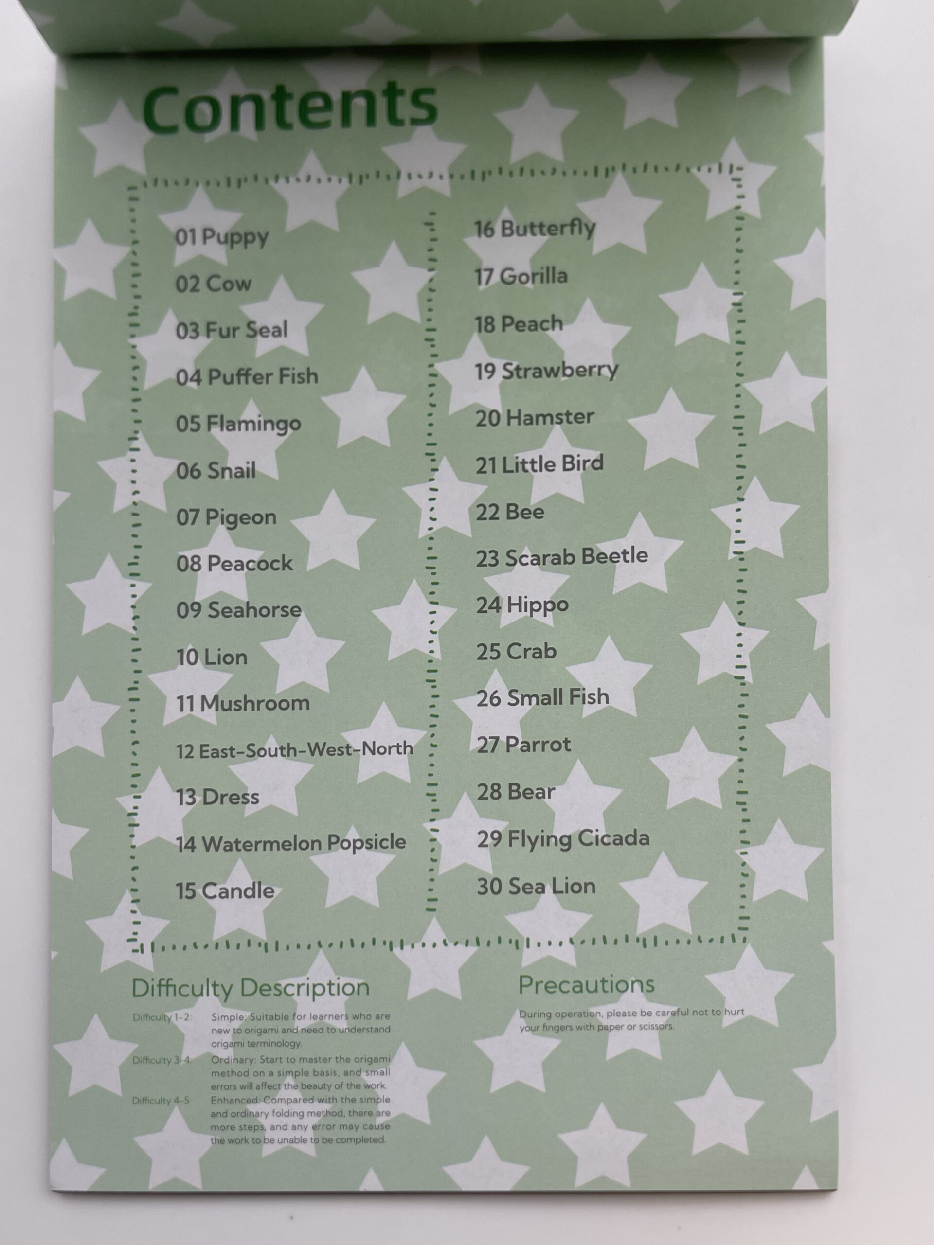 The Dida Origami Avanzato quaderno bambini 30 progetti