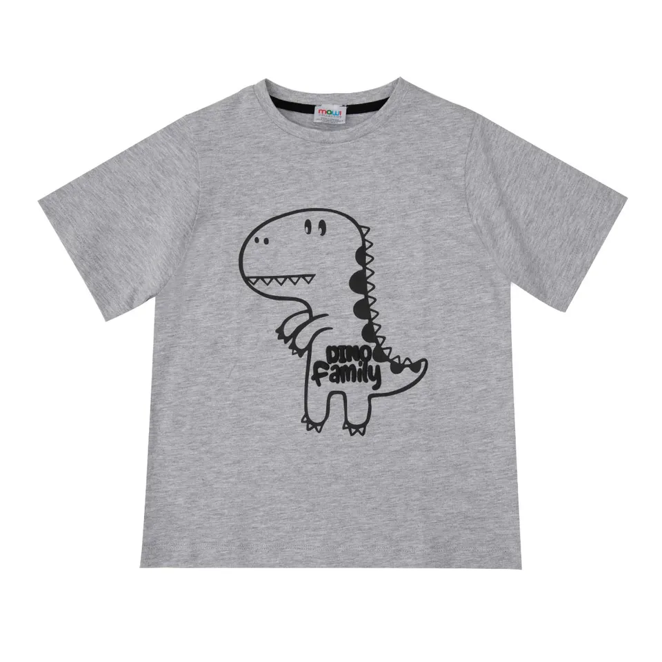 T-Shirt Bimbo Grigia Dino Family Jersey Mezza Manica