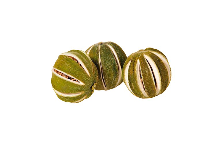 The Dida Mini Lima Verde frutta giocattolo verde