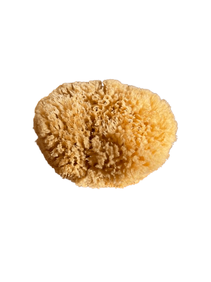 The Dida Wave spugna naturale gigante per bagnetto ipoallergenica