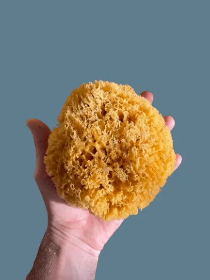 The Dida Wave spugna naturale gigante per bagnetto ipoallergenica
