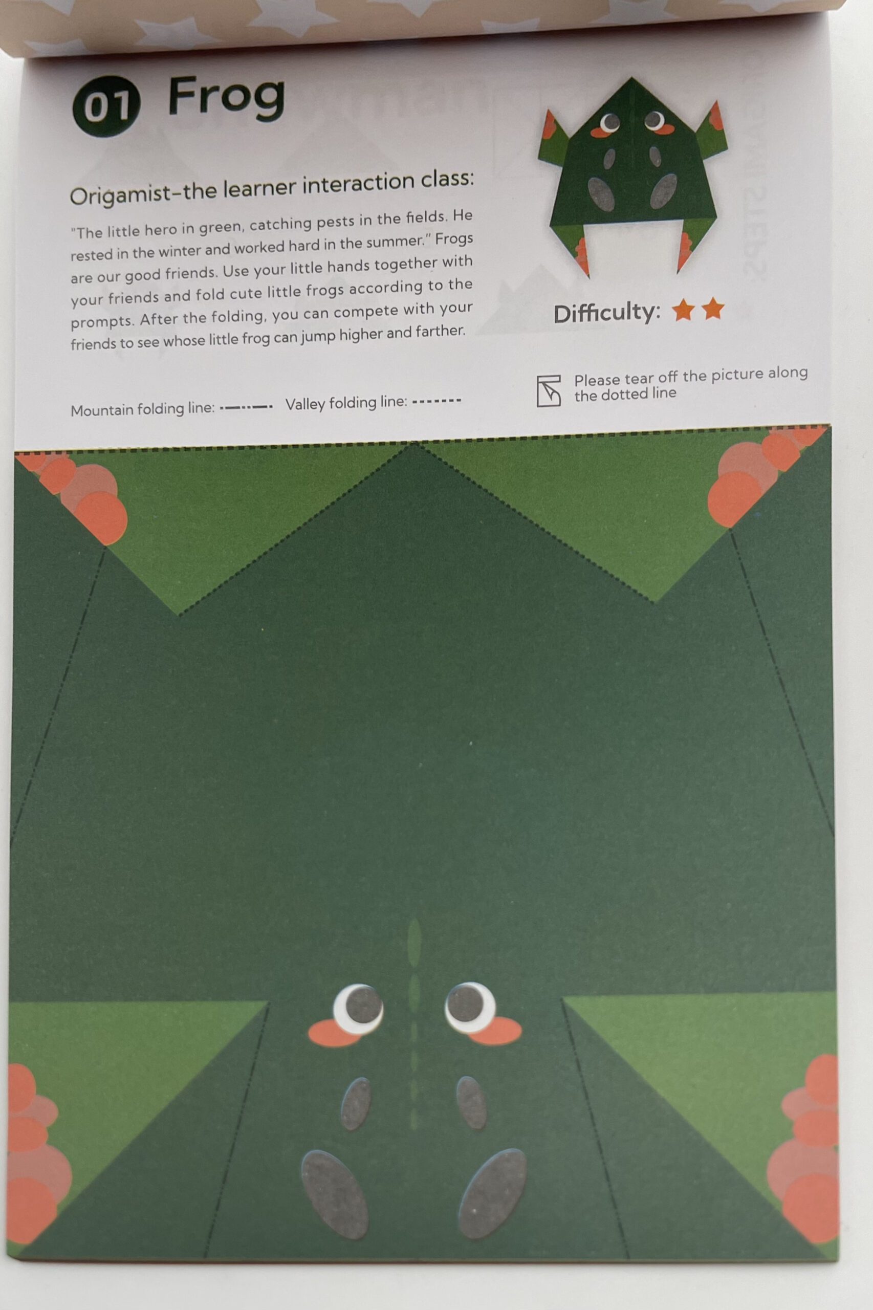 The Dida Origami Intermedio quaderno 30 figure