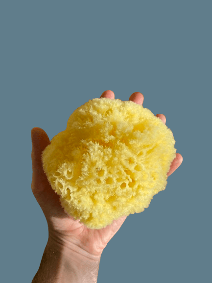 The Dida Wave spugna naturale gigante per bagnetto ipoallergenica