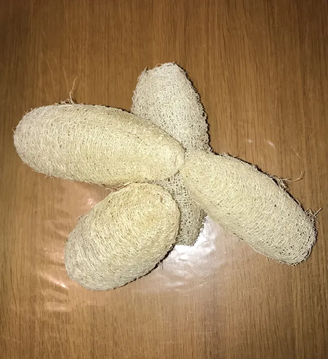 The Dida Luffa Spugna Vegetale Intera 10-12 cm Naturale