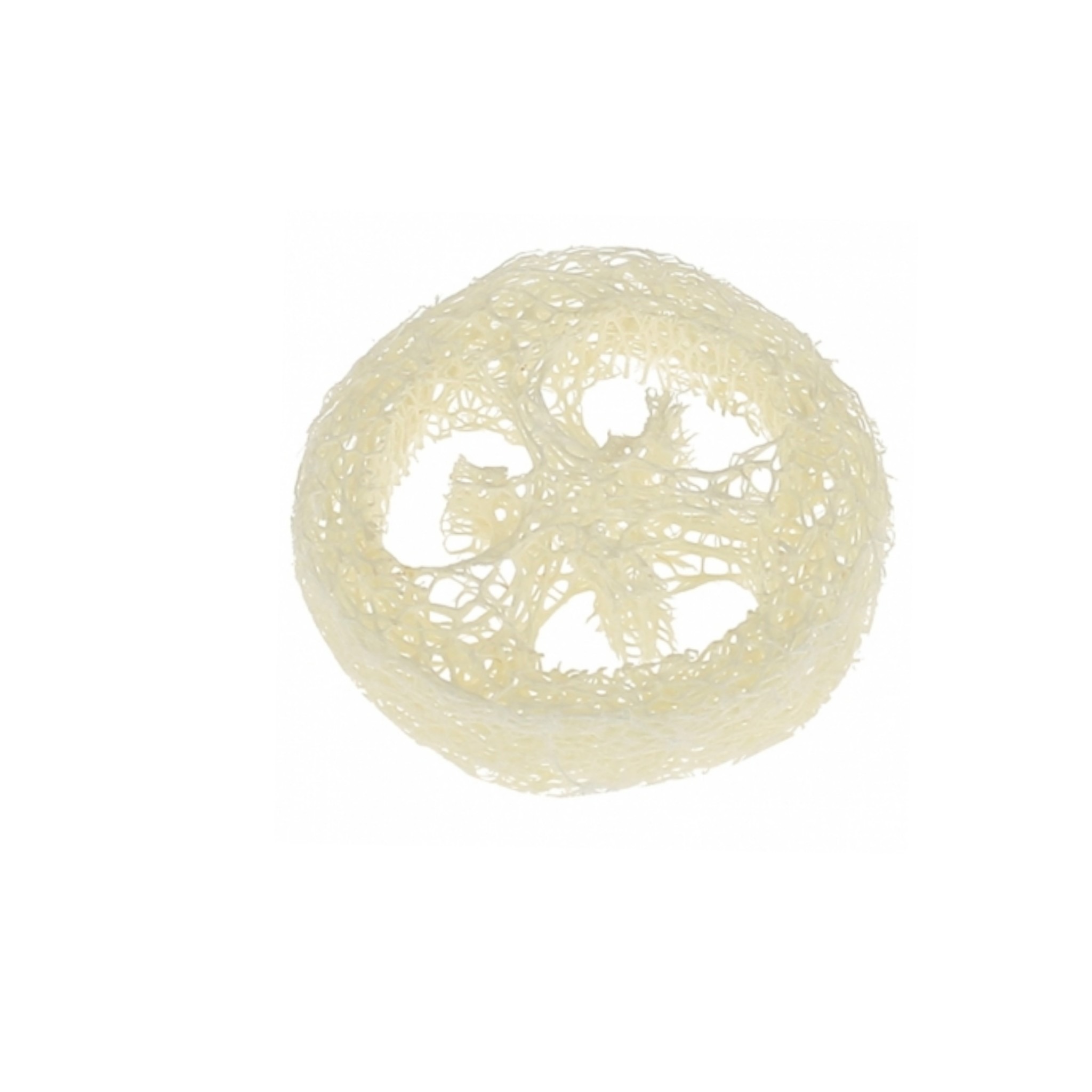 The Dida Luffa fetta spugna vegetale naturale