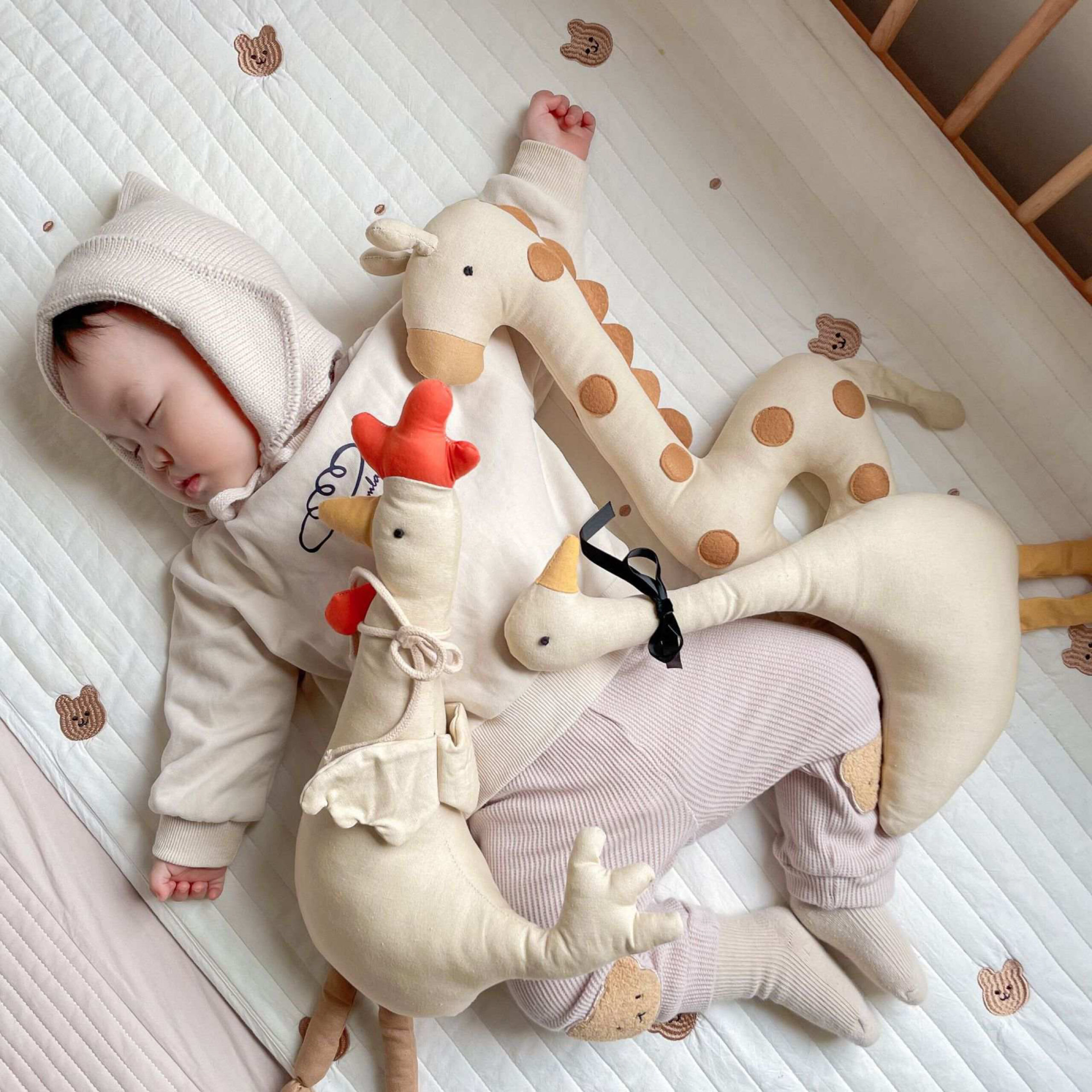 The Dida Gennaro Peluche Gallina in Cotone