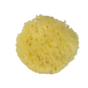 The Dida Coral spugna naturale piccola per bagnetto