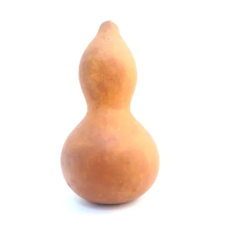 The Dida zucca bottiglia naturale 13-15 cm per tesori
