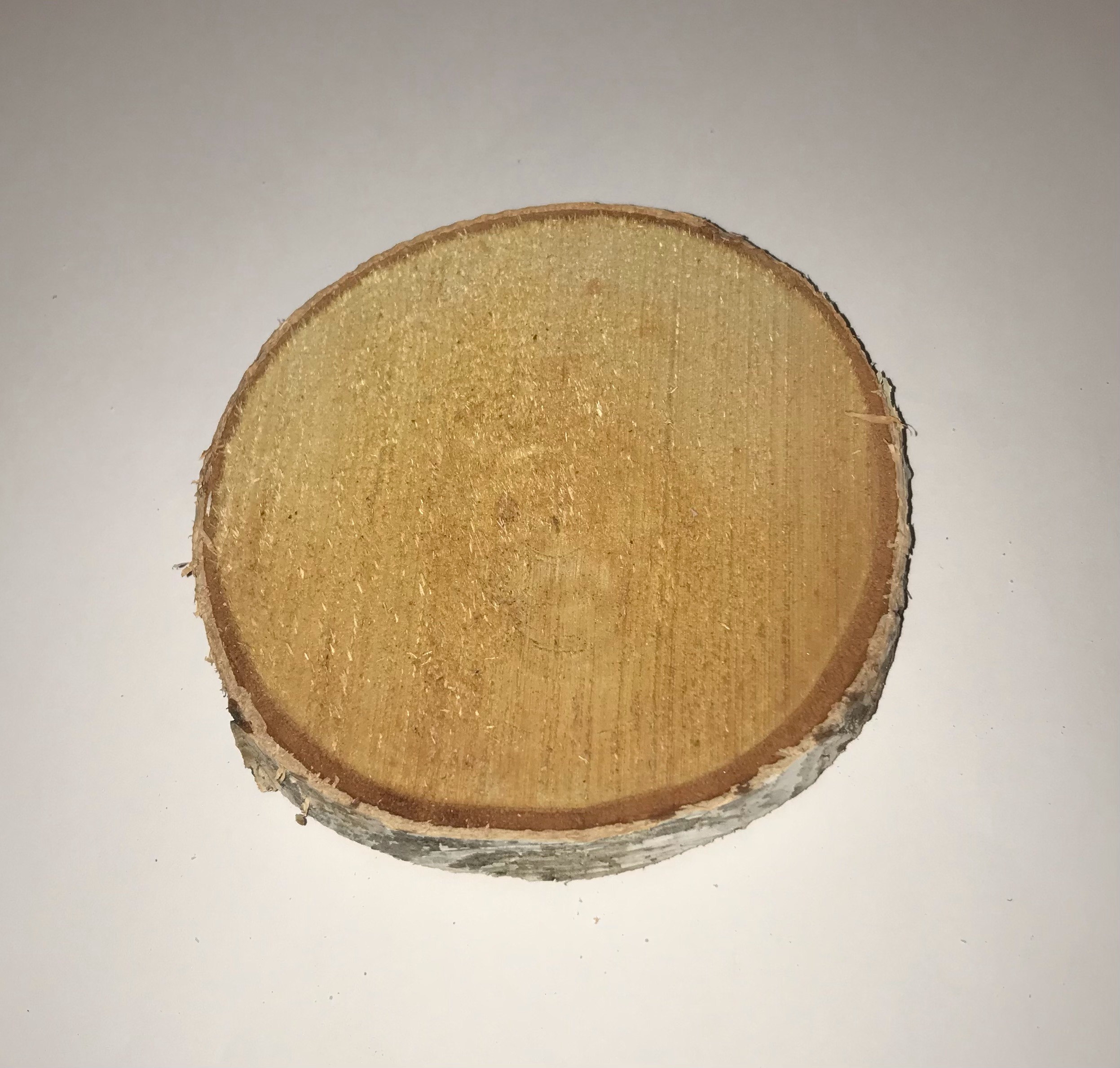 The Dida Tronco Fetta Legno Naturale 7-10 cm Gioco