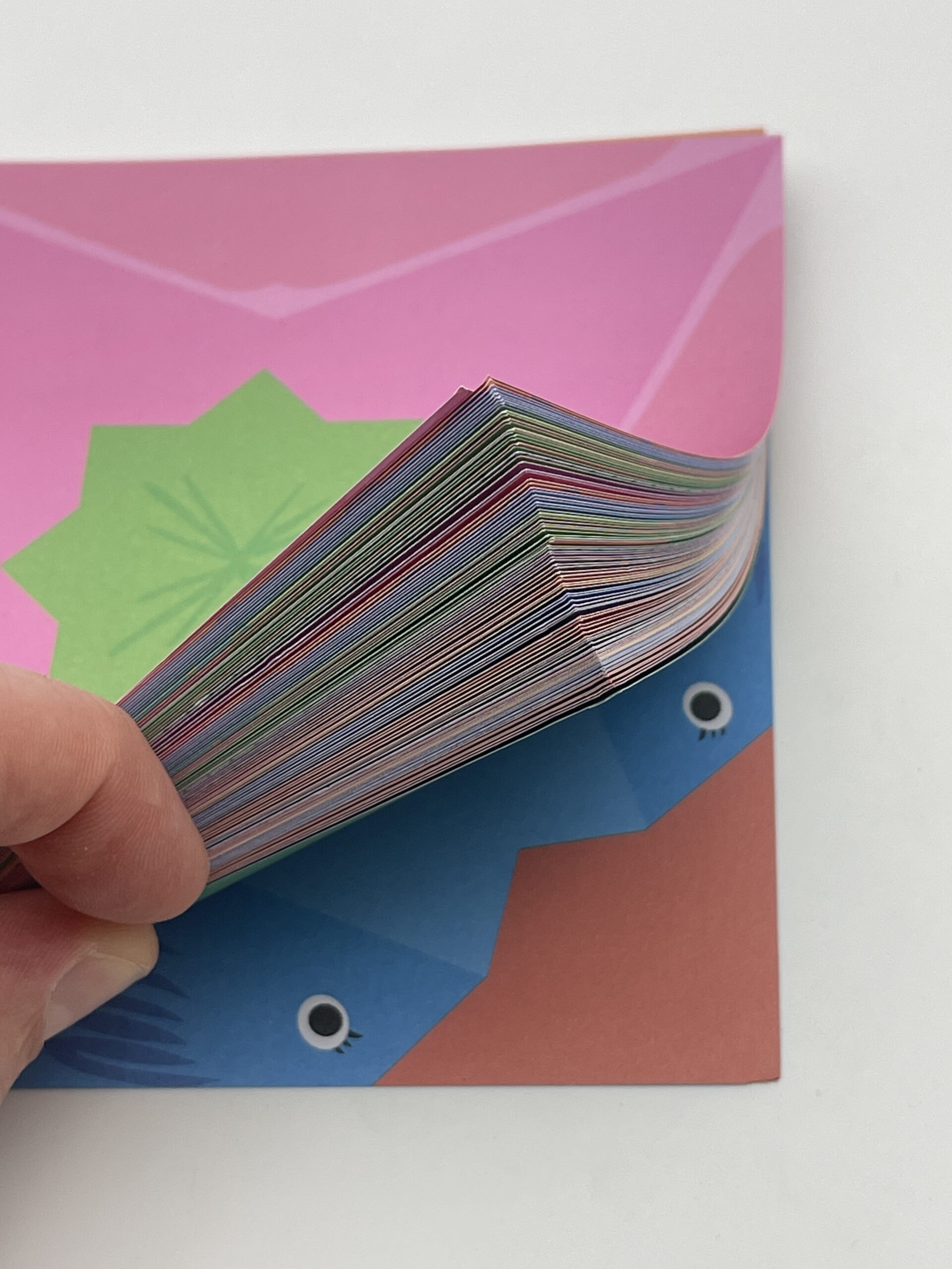 The Dida Quaderno Origami Esperto 48 Fogli Colorati