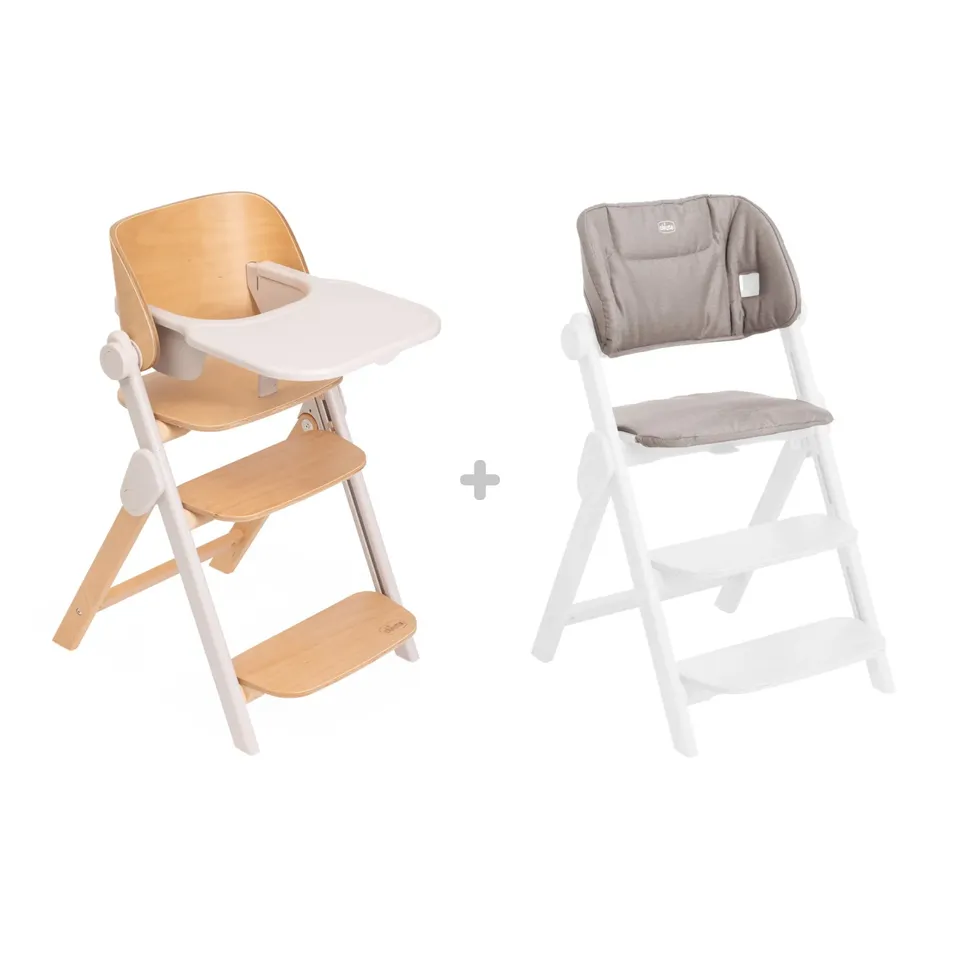 Chicco Meraviglia sedia evolutiva Fossil + cuscino
