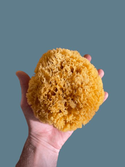 The Dida Wave spugna naturale gigante per bagnetto ipoallergenica