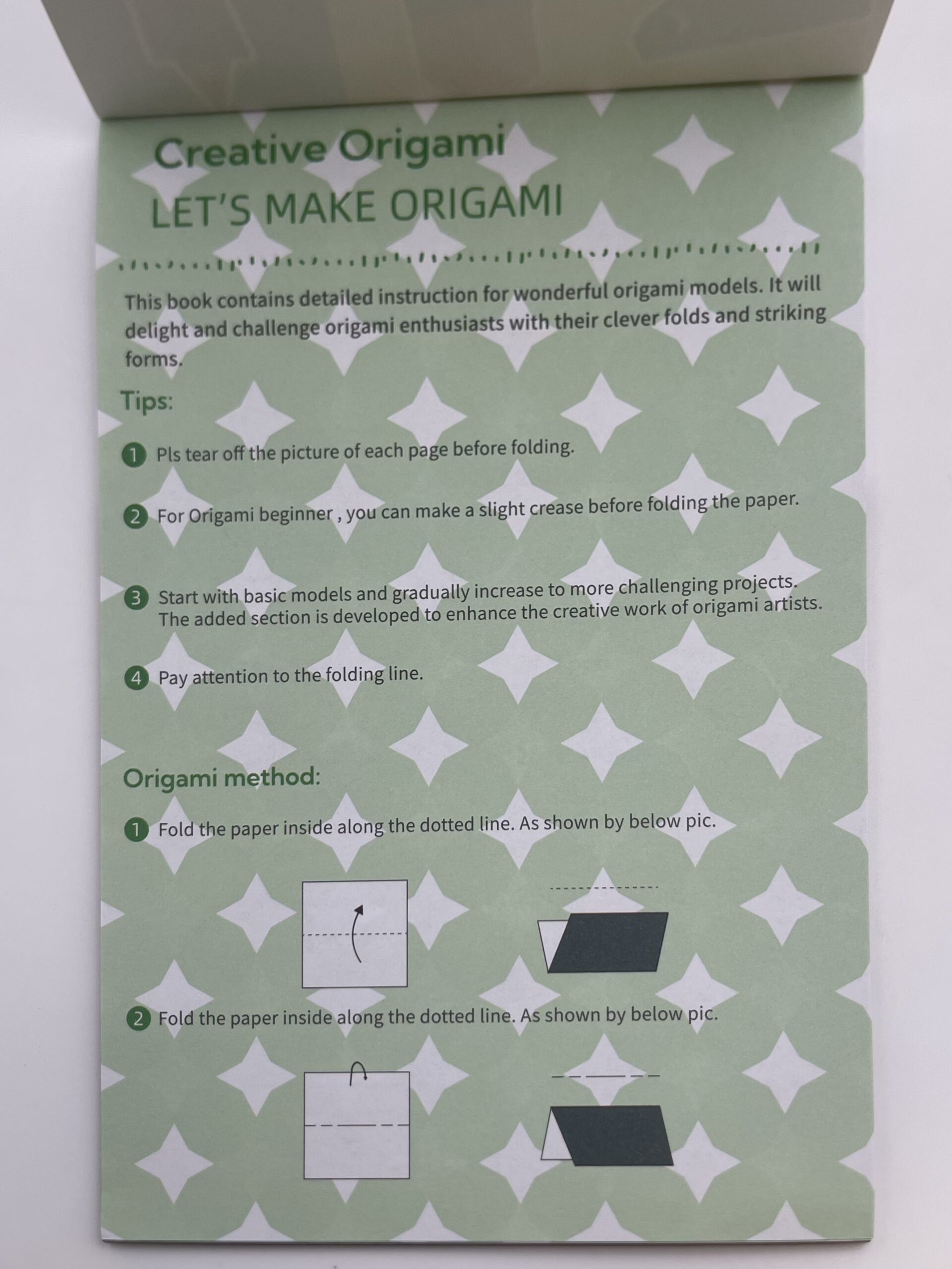 The Dida Origami Avanzato quaderno bambini 30 progetti