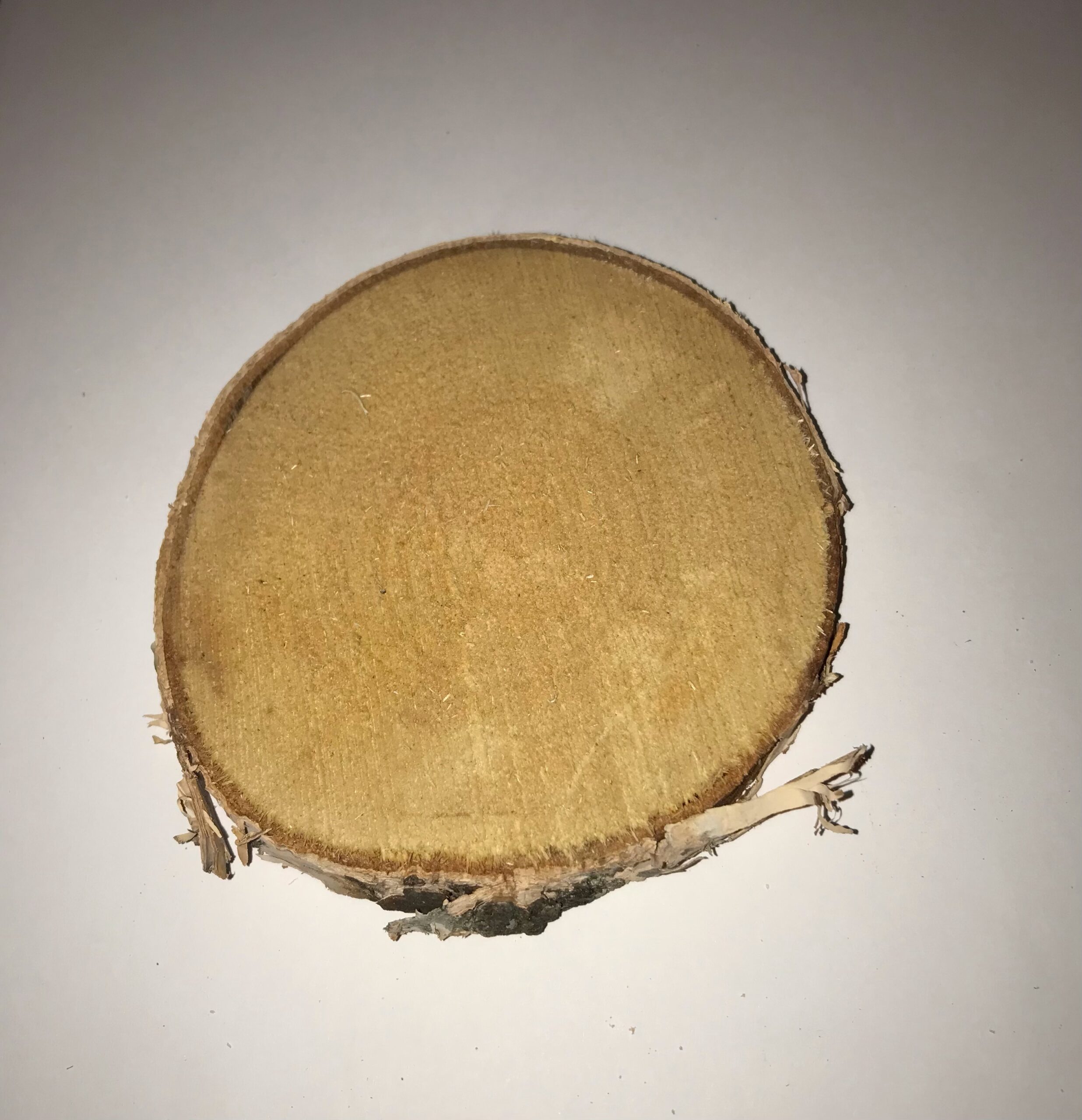 The Dida Tronco Fetta Legno Naturale 7-10 cm Gioco