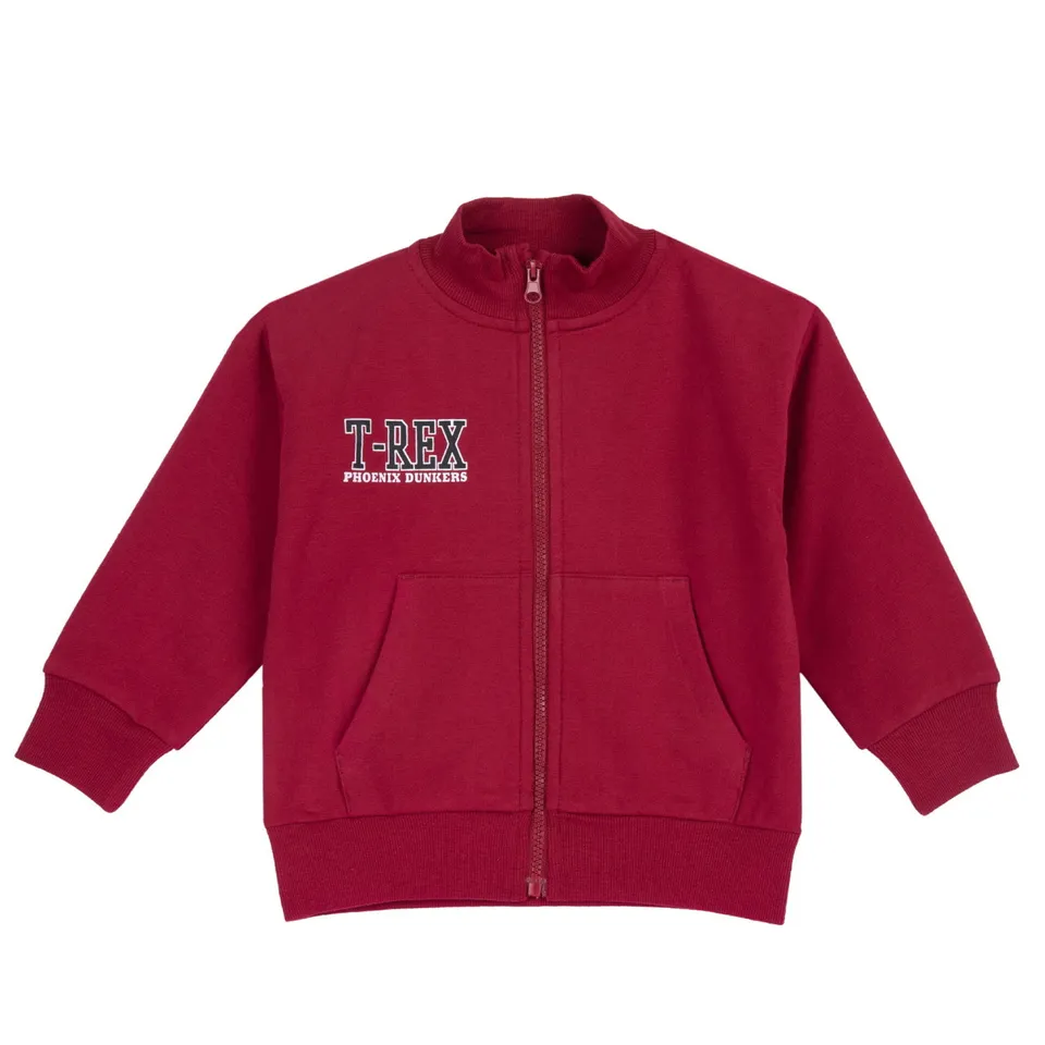 Chicco Phoenix T-Rex Felpa Bambini Zip Cotone