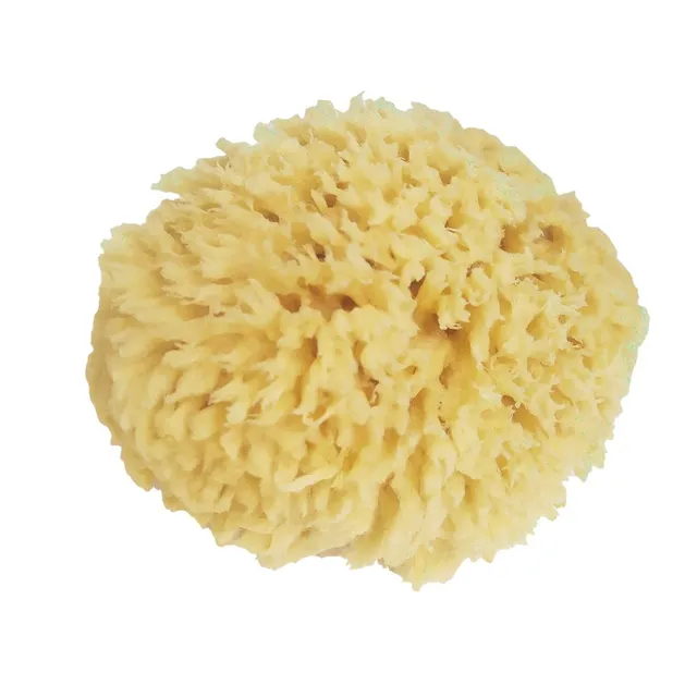 The Dida Splash spugna naturale grande bagno