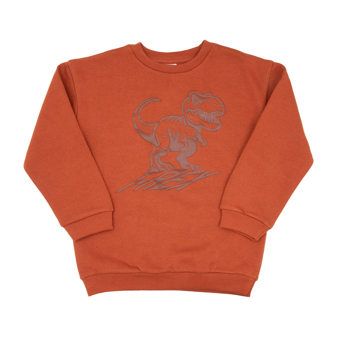 Felpa bimbo terra Dino maglia felpata girocollo morbida