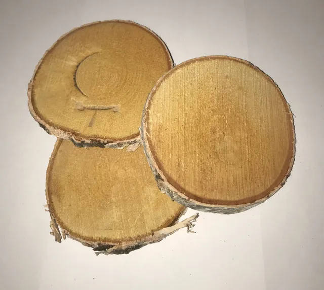 The Dida Tronco Fetta Legno Naturale 7-10 cm Gioco