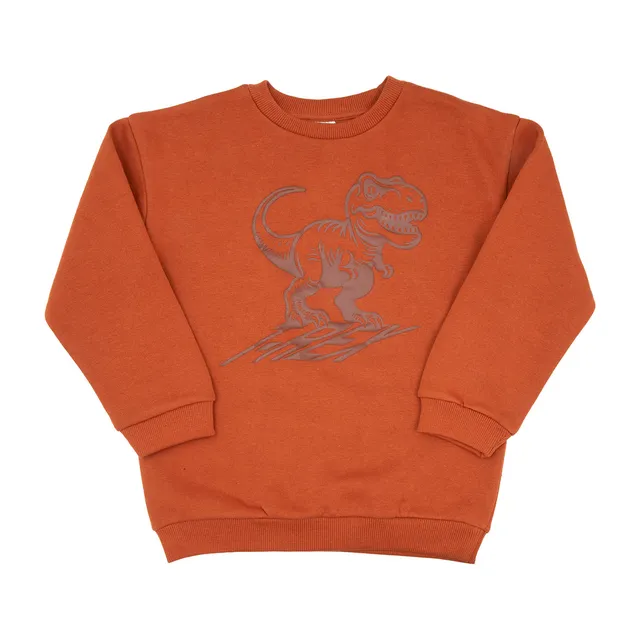 Felpa bimbo terra Dino maglia felpata girocollo morbida