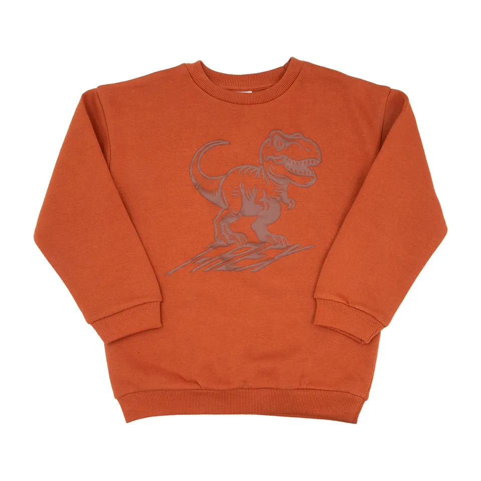 Felpa bimbo terra Dino maglia felpata girocollo morbida