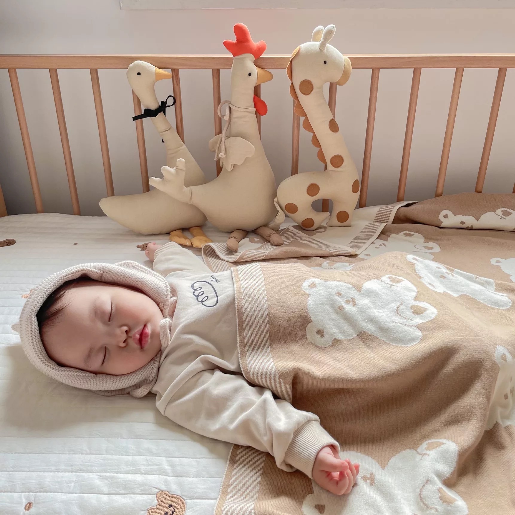 The Dida Gennaro Peluche Gallina in Cotone