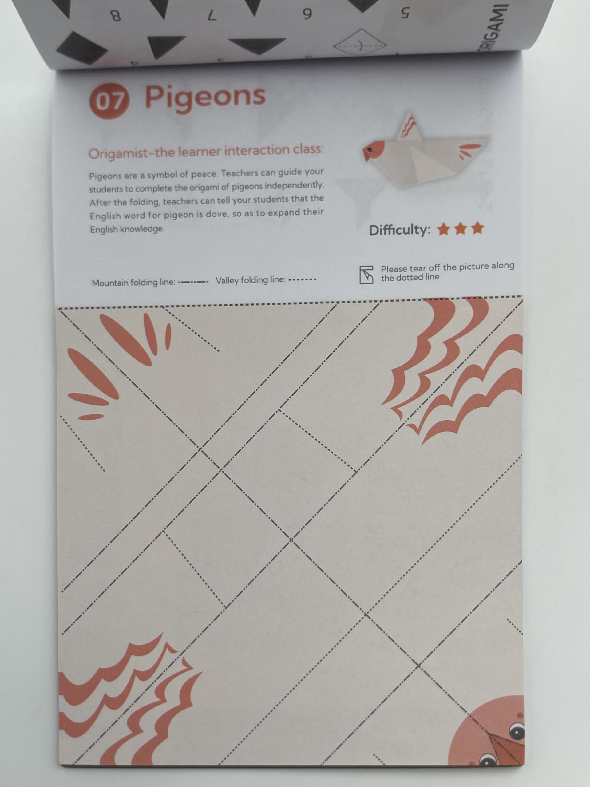 The Dida Origami Avanzato quaderno bambini 30 progetti
