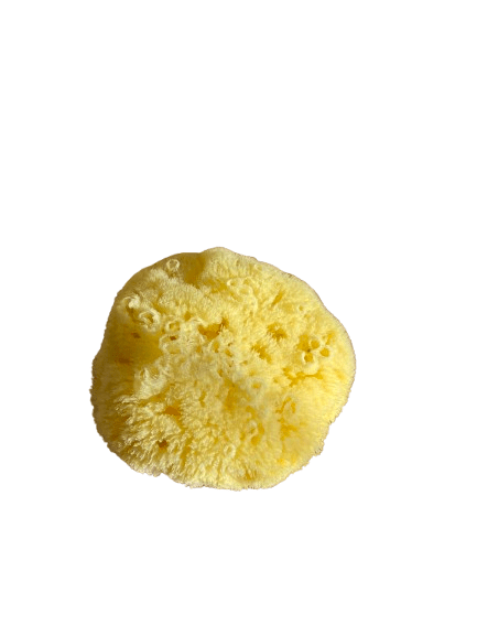 The Dida Wave spugna naturale gigante per bagnetto ipoallergenica