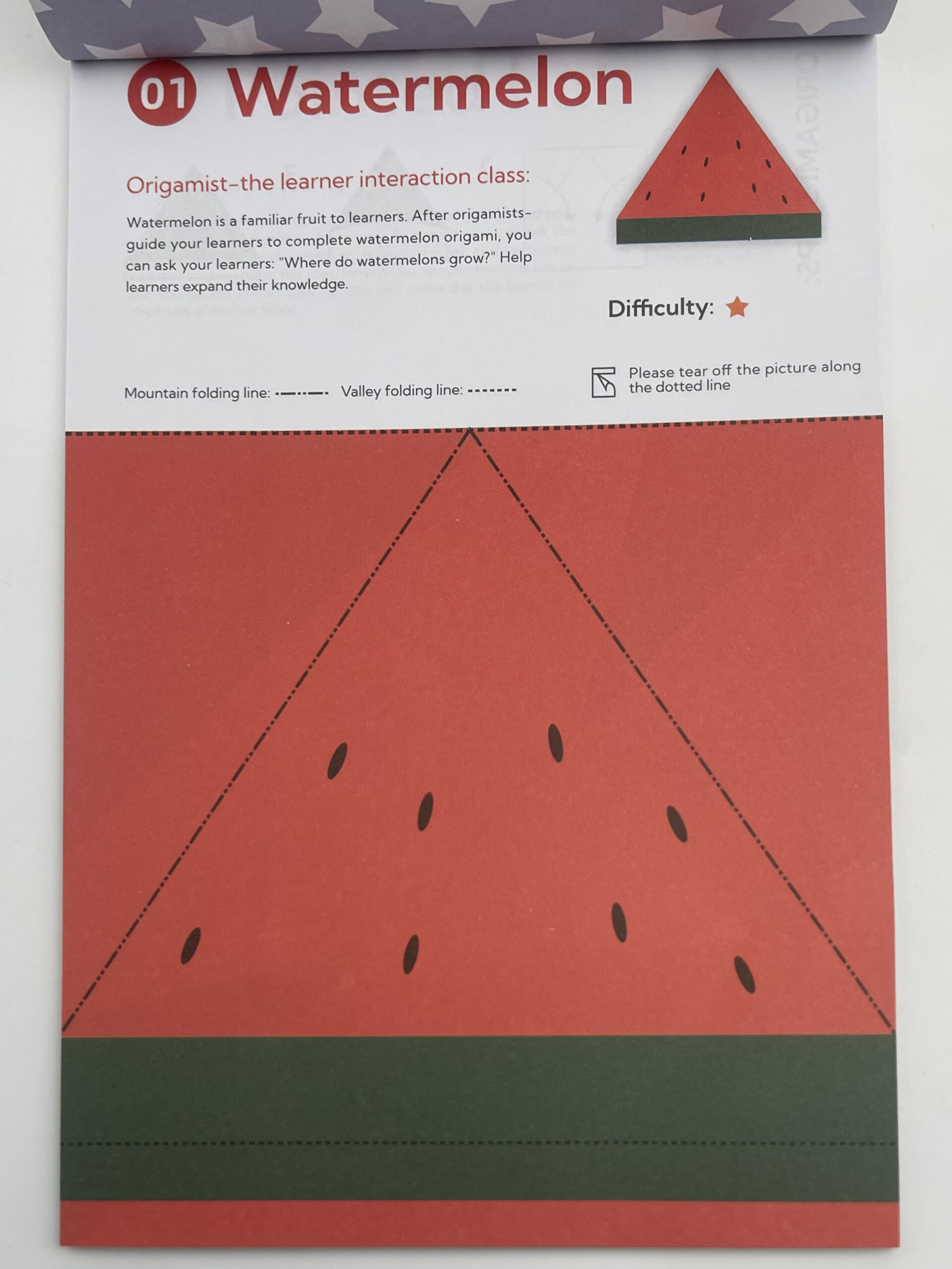 The Dida Quaderno Origami Principiante 30 Fogli Bambini