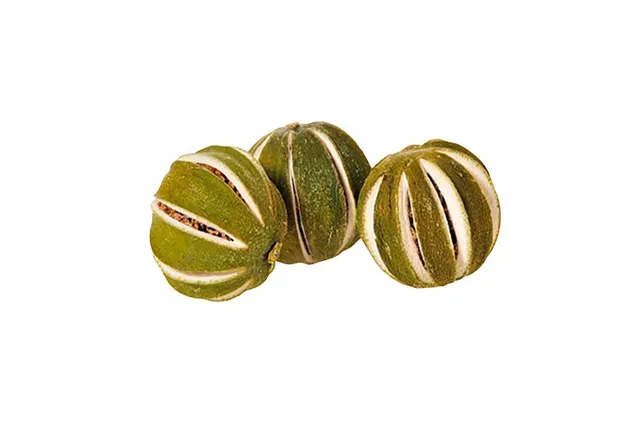 The Dida Mini Lima Verde frutta giocattolo verde