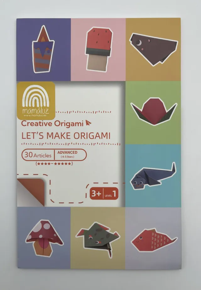 The Dida Origami Avanzato quaderno bambini 30 progetti