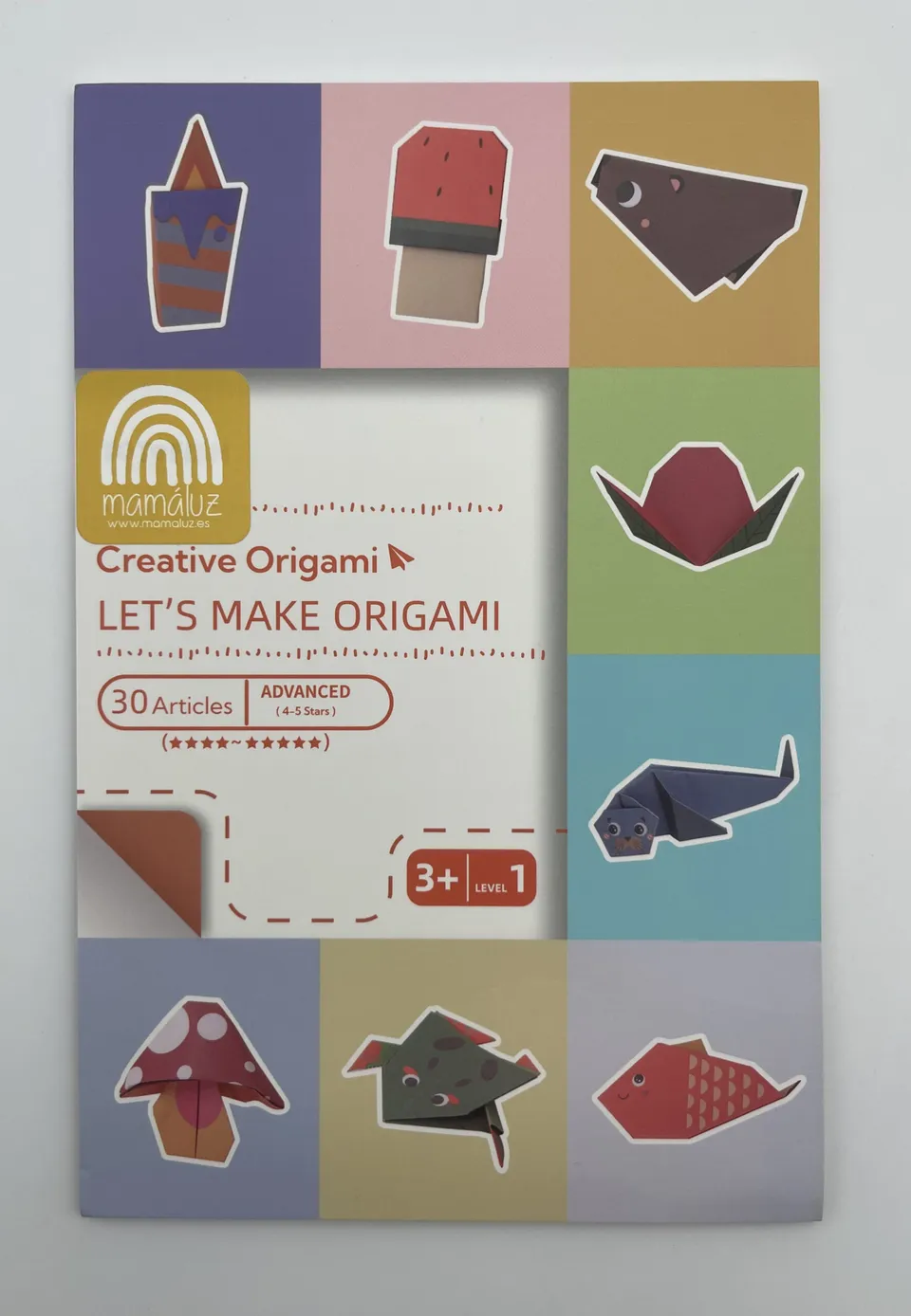 The Dida Origami Avanzato quaderno bambini 30 progetti